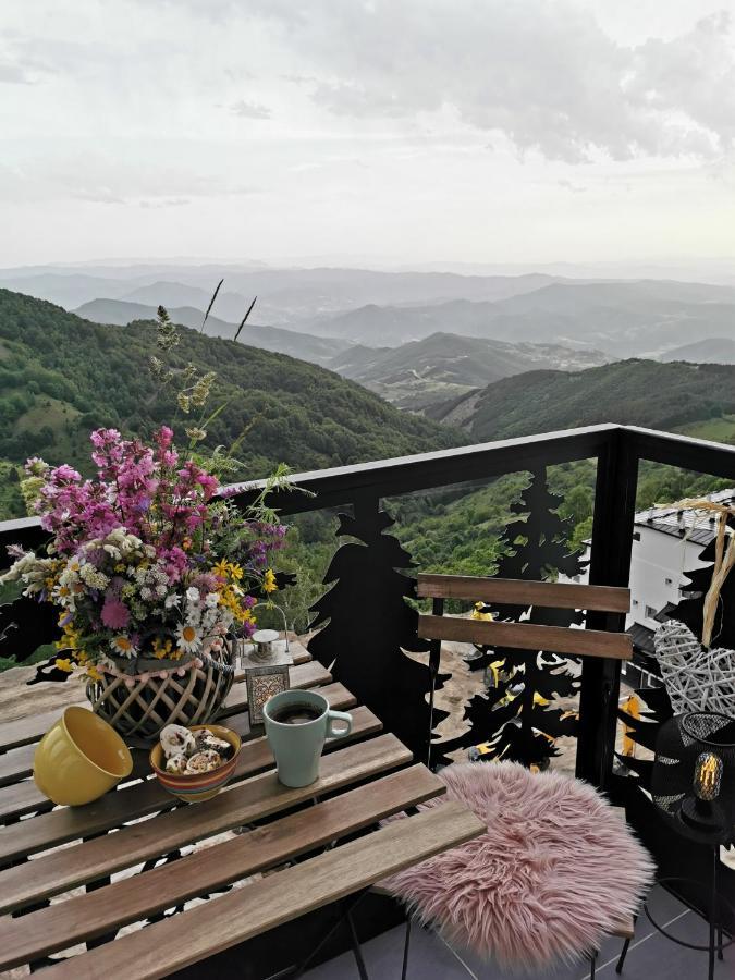 Apartmani Tim Aris Resort 科帕奥尼克 外观 照片