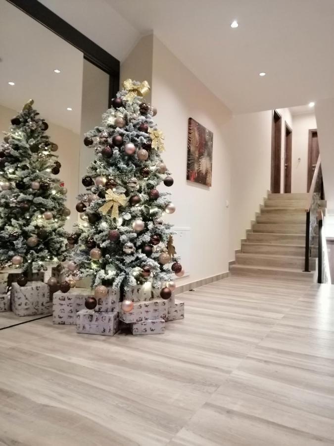 Apartmani Tim Aris Resort 科帕奥尼克 客房 照片